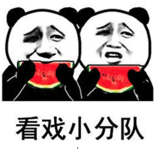 娱乐吃瓜表情包,笑料横生!